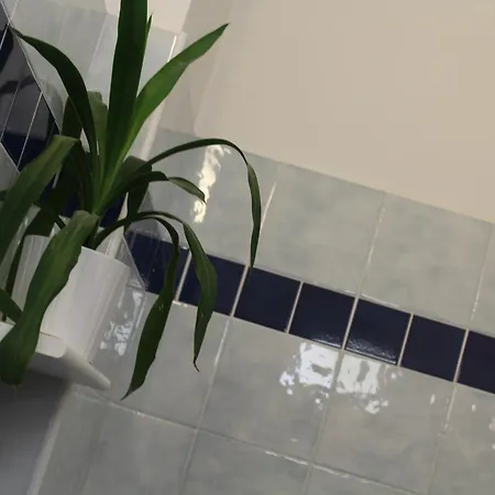 Apartahotel Veliero San Mauro Mare