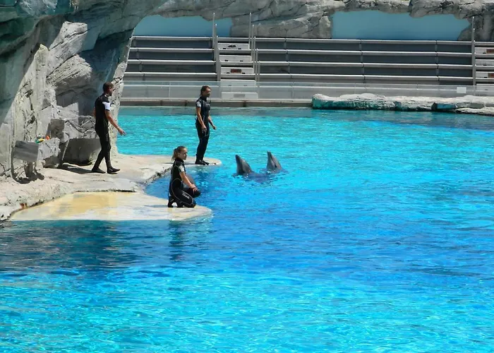 Veliero شقة فندقية San Mauro Mare