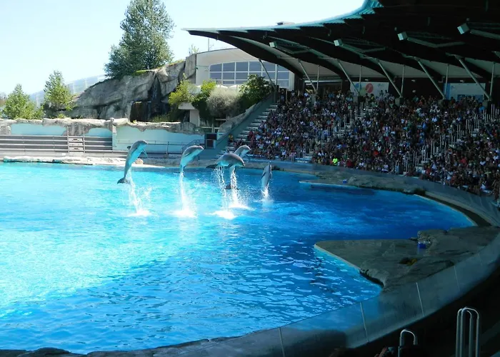 شقة فندقية Veliero