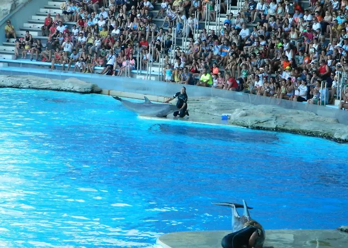 Veliero شقة فندقية San Mauro Mare